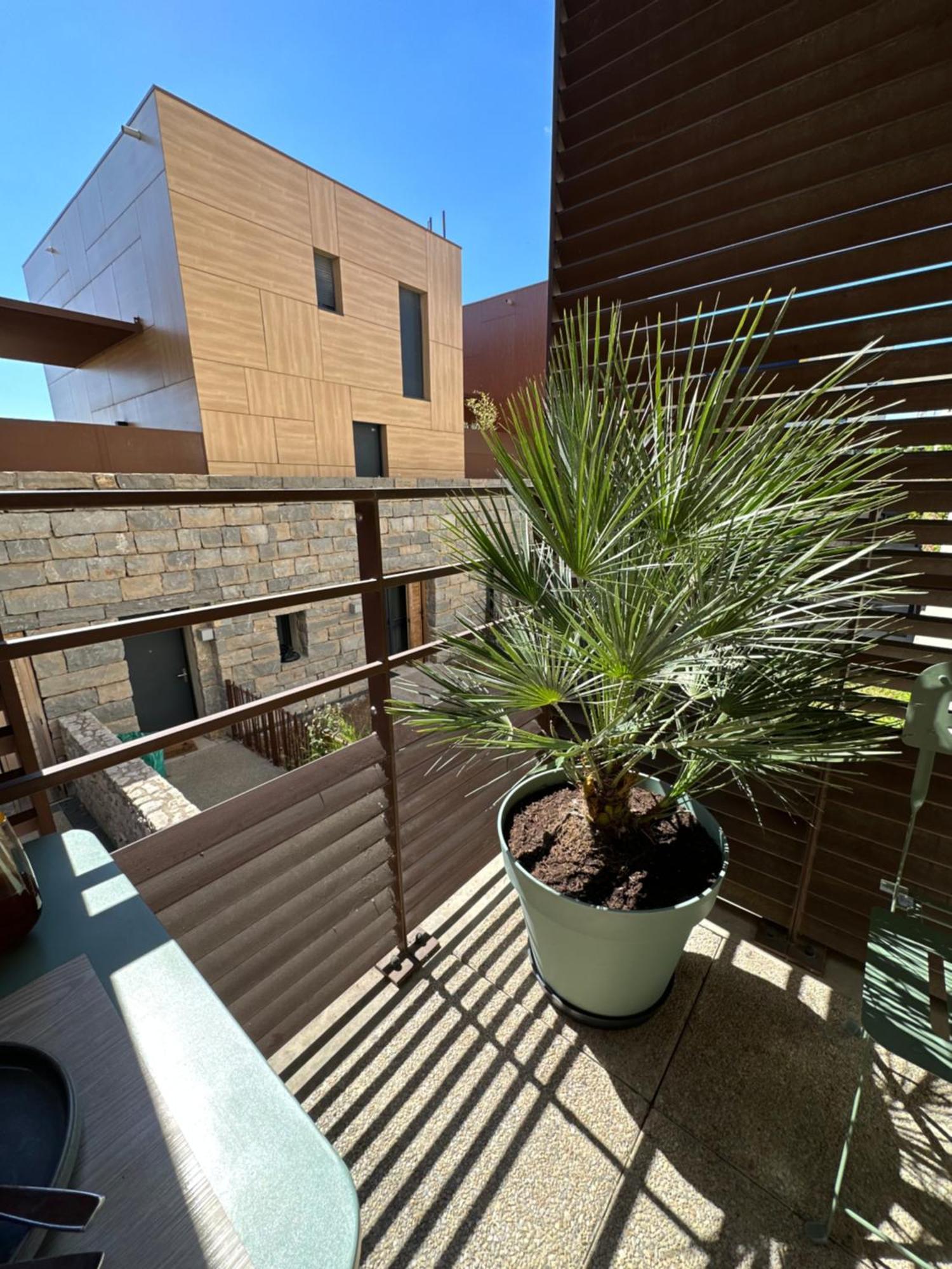 Appartement Charmant Au Porte De Montpellier Saint-Jean-de-Vedas Exterior photo